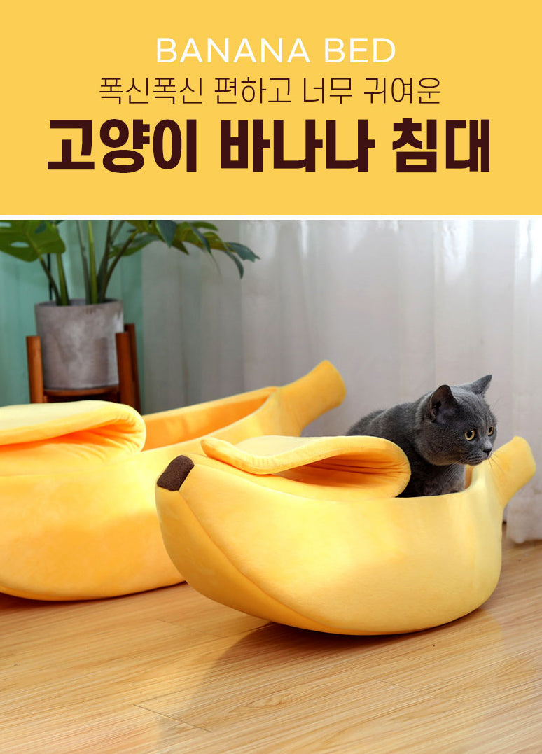 Cats & Pets