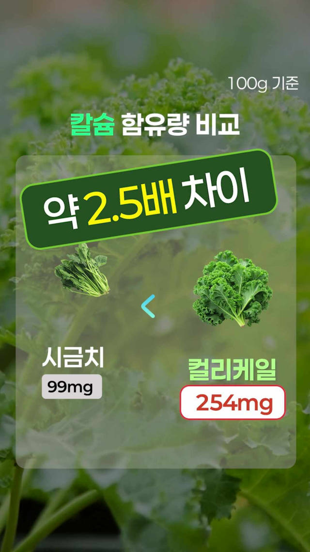 Organic Curly Kale 100% Freeze-Dried Powder Sticks | Korean Superfood Kale Supplement 30g (30 Sticks) - Vitamins A C K Boost