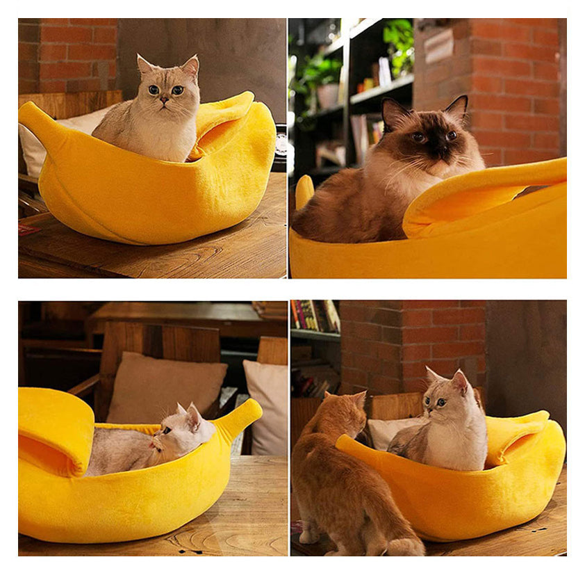 three pictures of cats sitting in a banana shaped bed